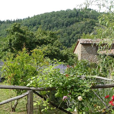 Il Capriolo Villa San Cerbone Dış mekan fotoğraf