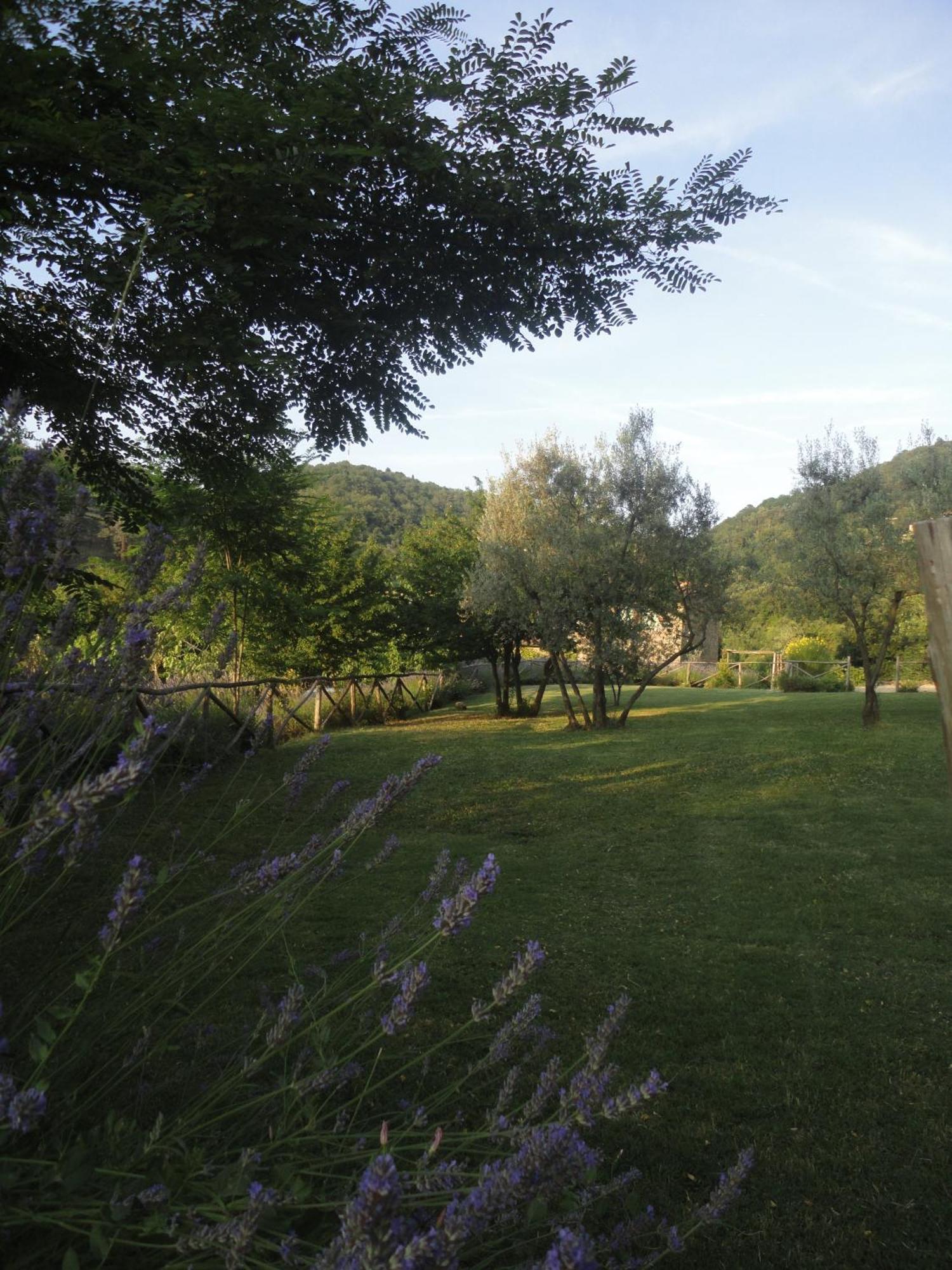 Il Capriolo Villa San Cerbone Dış mekan fotoğraf