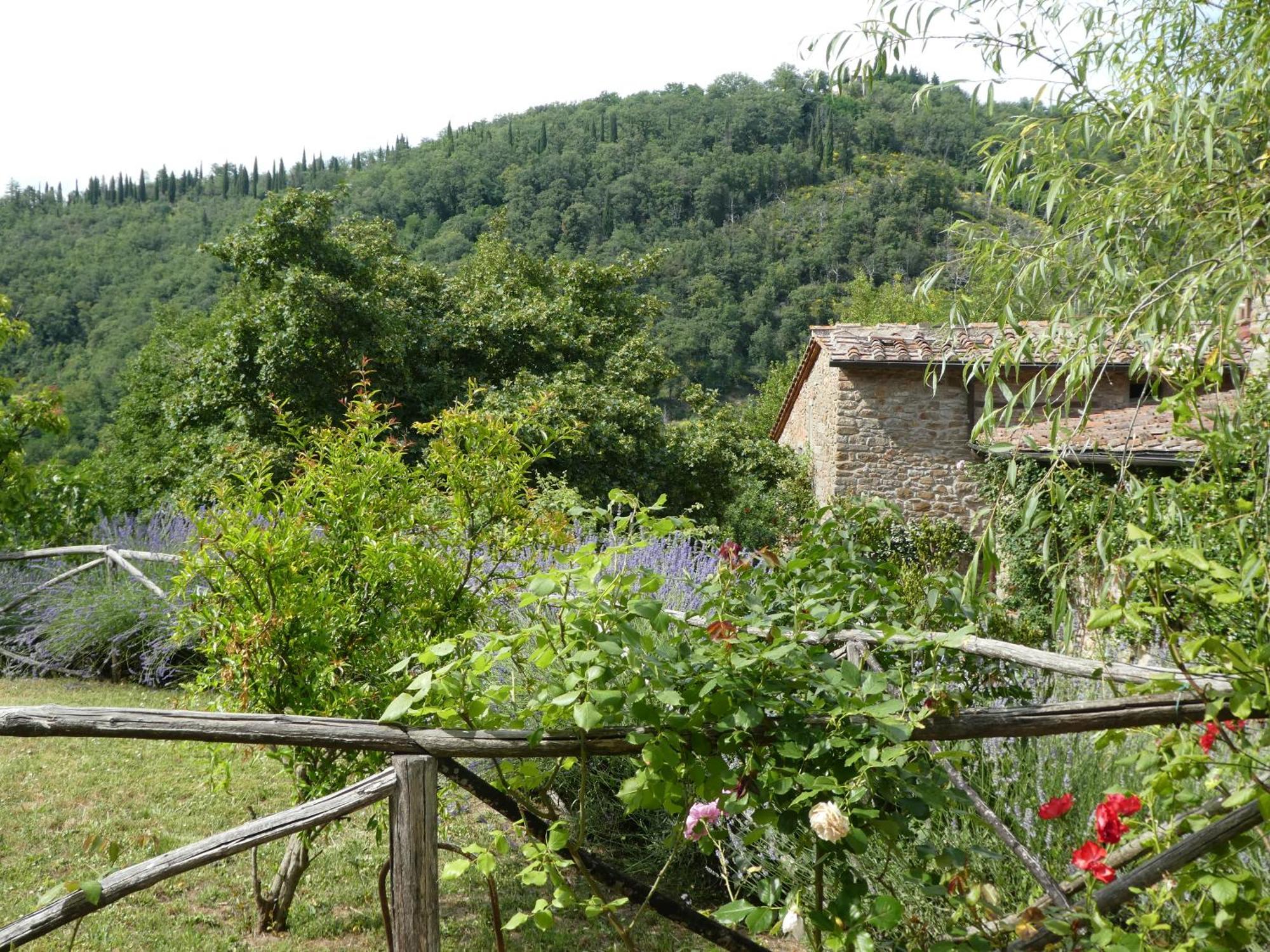 Il Capriolo Villa San Cerbone Dış mekan fotoğraf