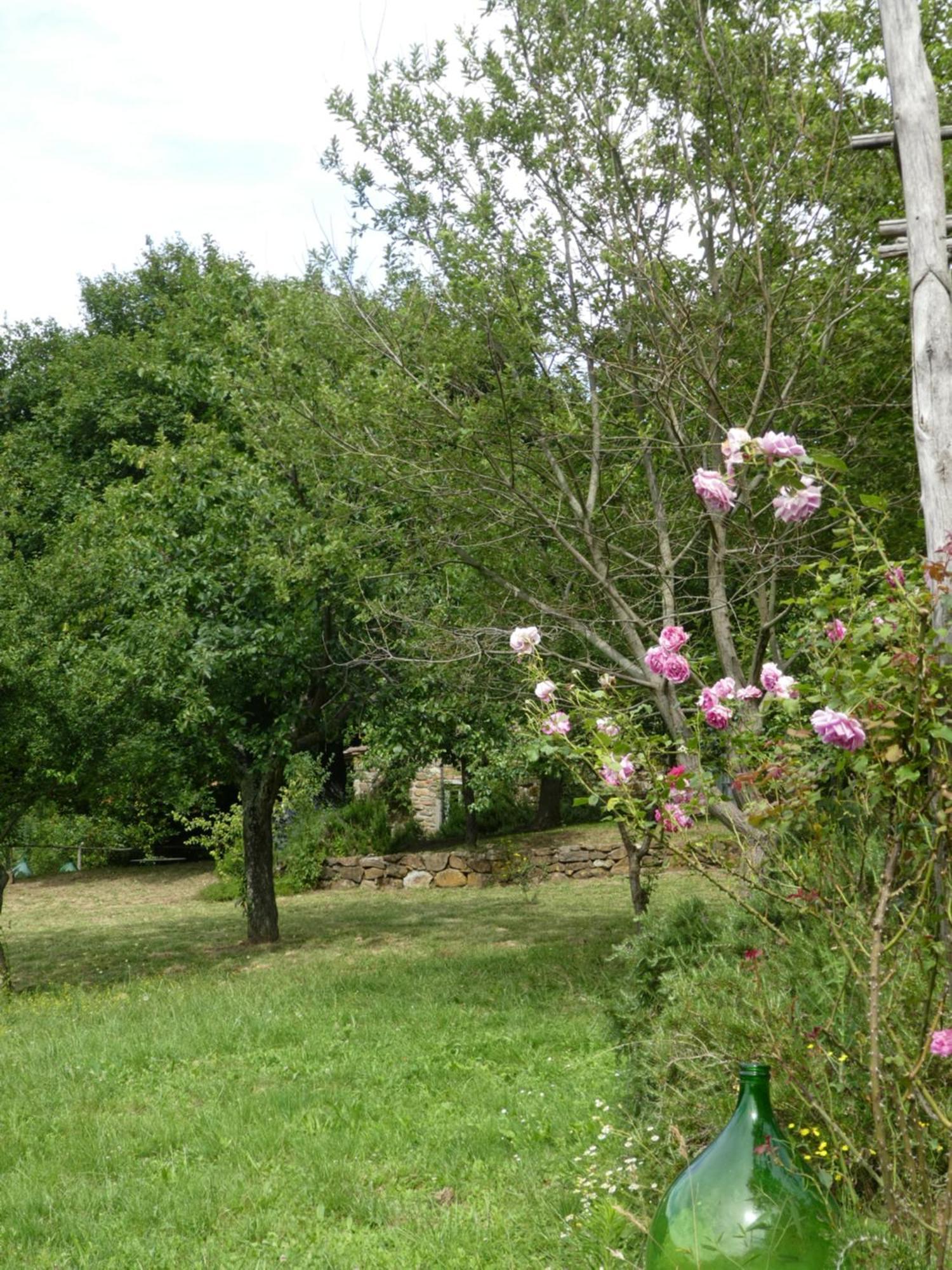 Il Capriolo Villa San Cerbone Dış mekan fotoğraf